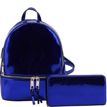Load image into Gallery viewer, back-pac/purse
