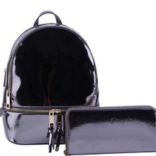Load image into Gallery viewer, back-pac/purse
